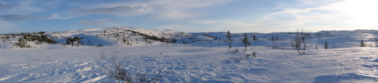 Panorama ved Bjrktjnna